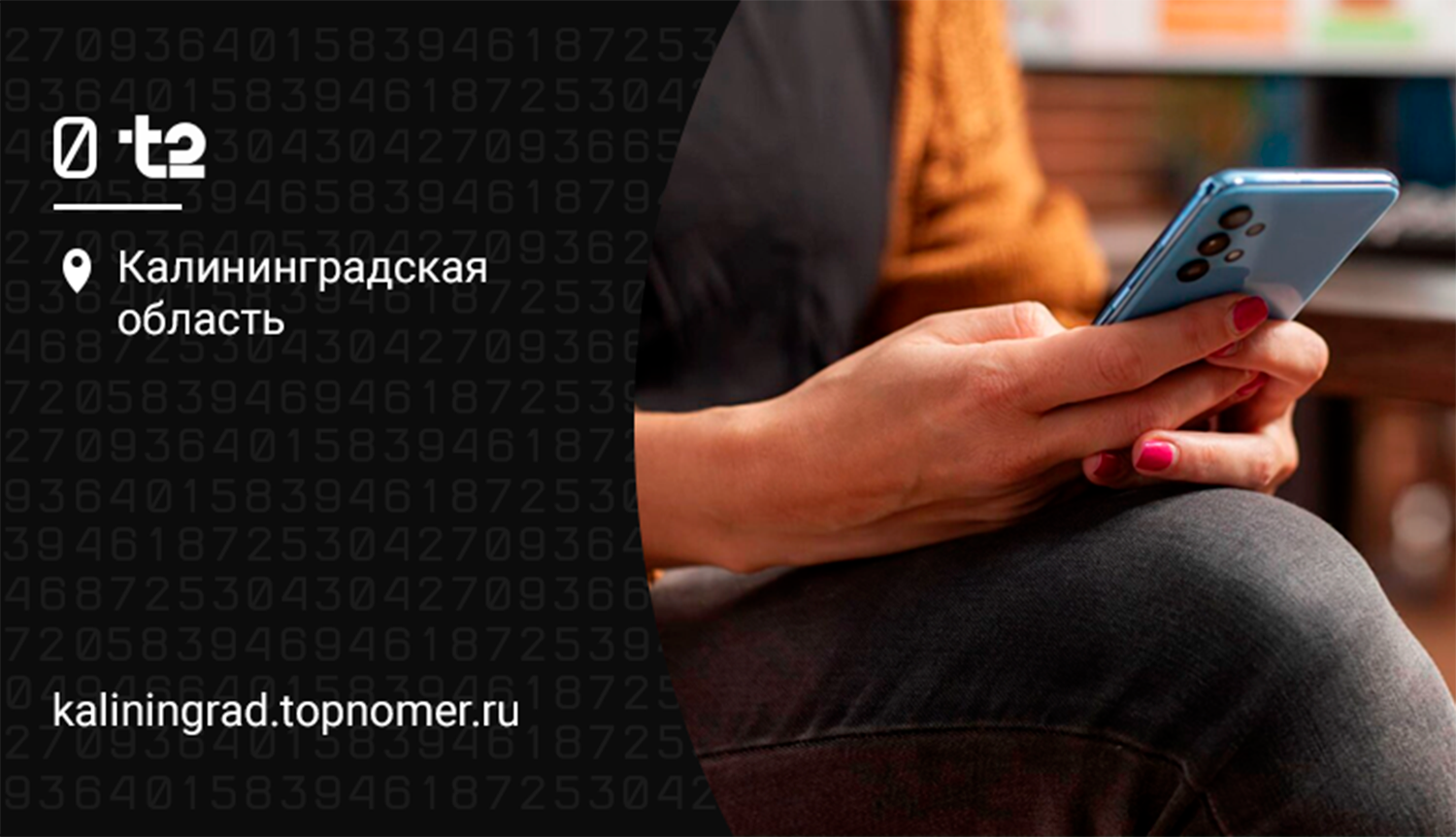 Автоматическую проверку утечки данных запускает t2